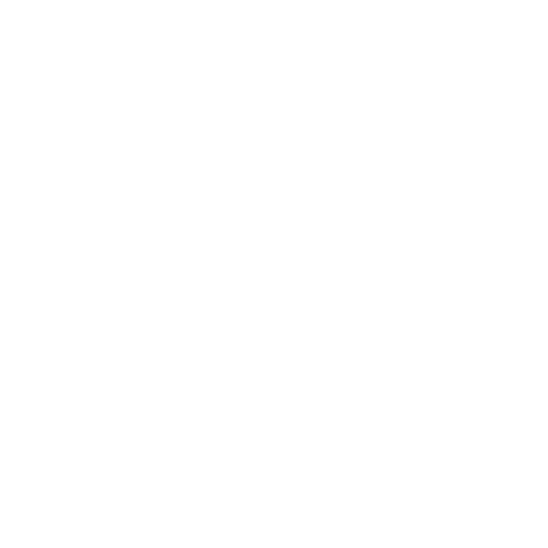 Intro Logo